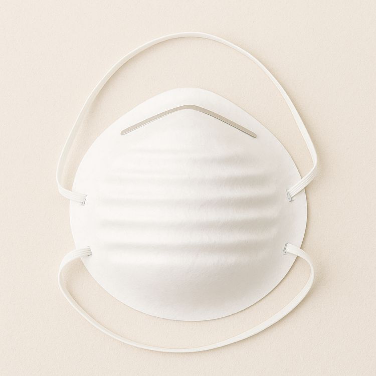 Dust Masks 
